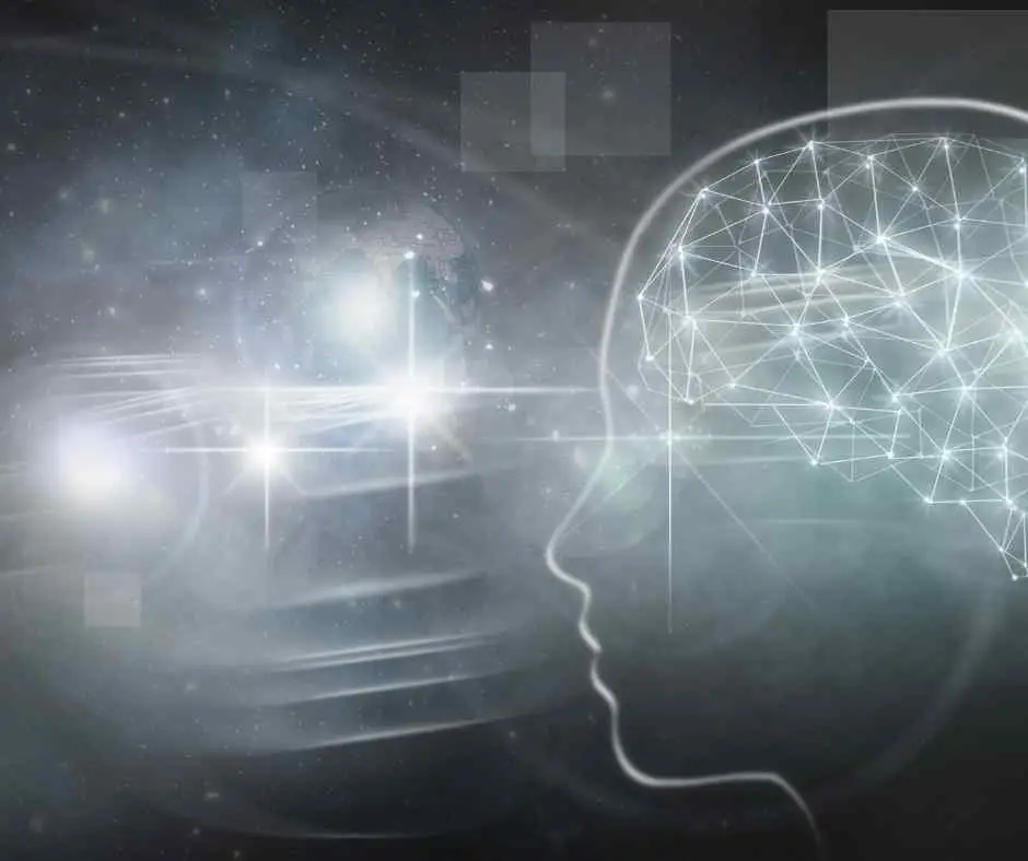 connections in brain