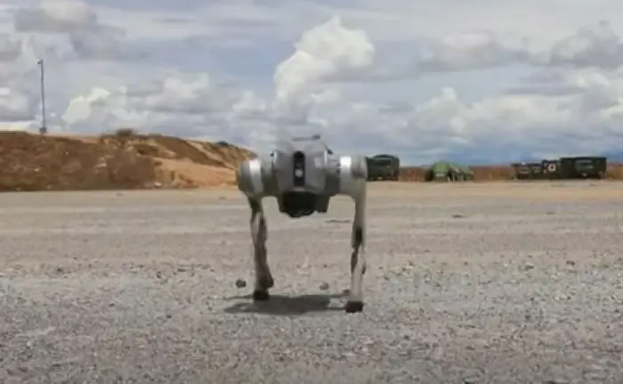 roobot dog